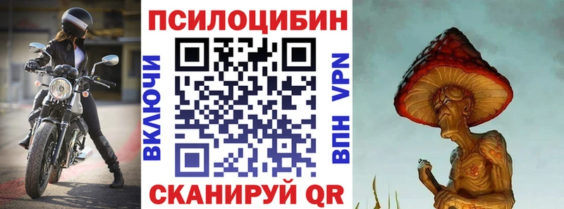 где можно купить наркотик  Партизанск  Галлюциногенные грибы мицелий 