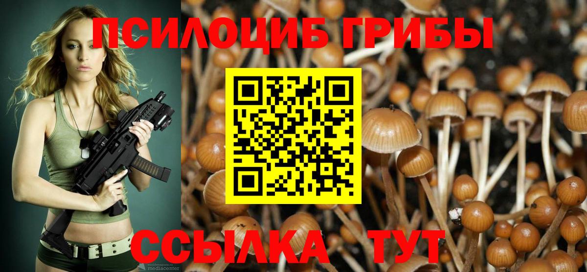 Партизанск  Псилоцибиновые грибы Psilocybine cubensis  Псилоцибиновые грибы Magic Shrooms  Вход с VPN 
