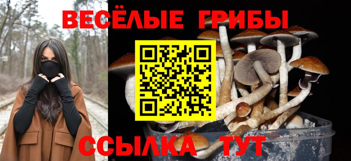Альфа ПВП Партизанск